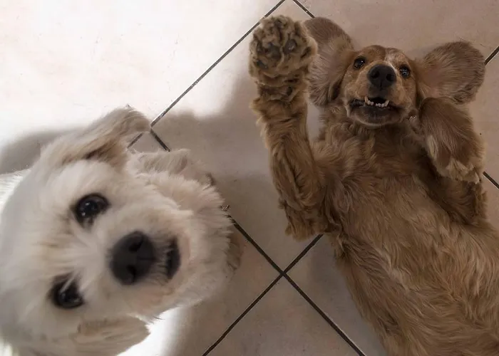 Hotell Kennedy Rimini