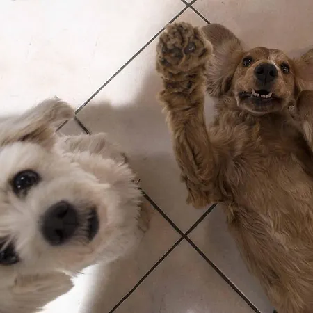 Hotel Kennedy Rimini